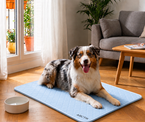 Tapis Rafraîchissant pour Chien & Chat – Fraîcheur Instantanée Sans Électricité | Arctik